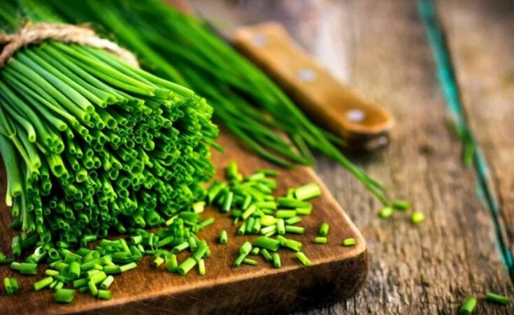 Cebolla verde