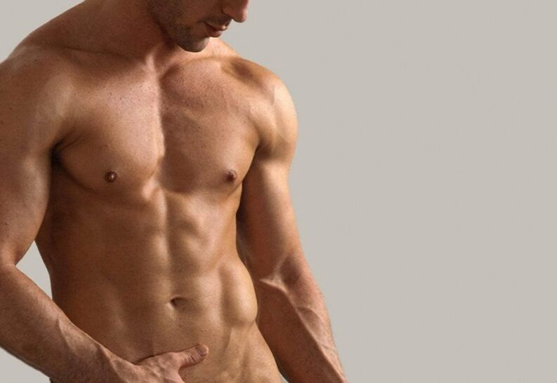 Cuerpo macho