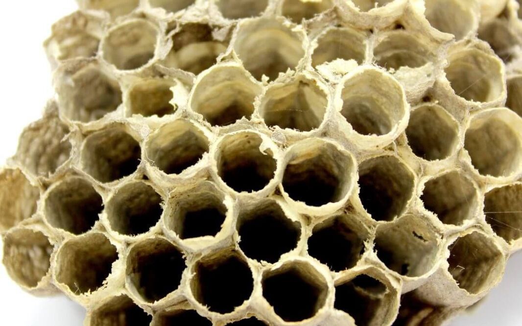 Pegamento de abeja para aumentar la potencia. 